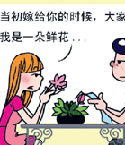 鲜花和牛粪