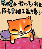 猫咪的哲理